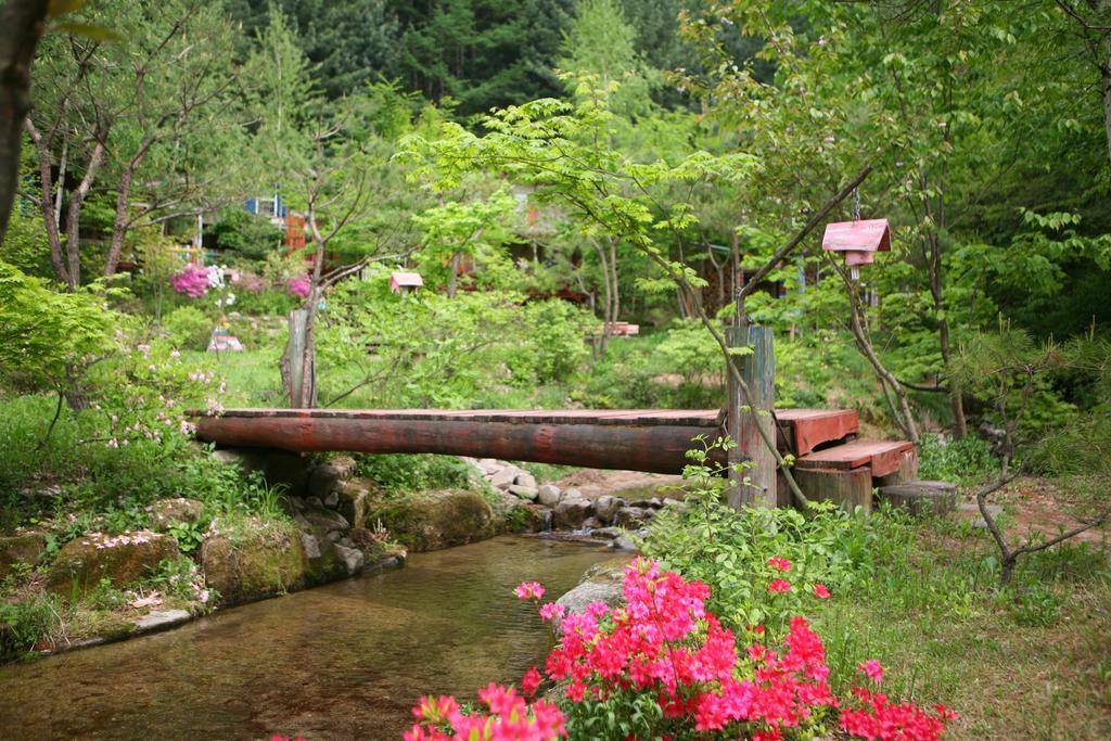 Villa Namoowa Pyeongchang Exterior foto
